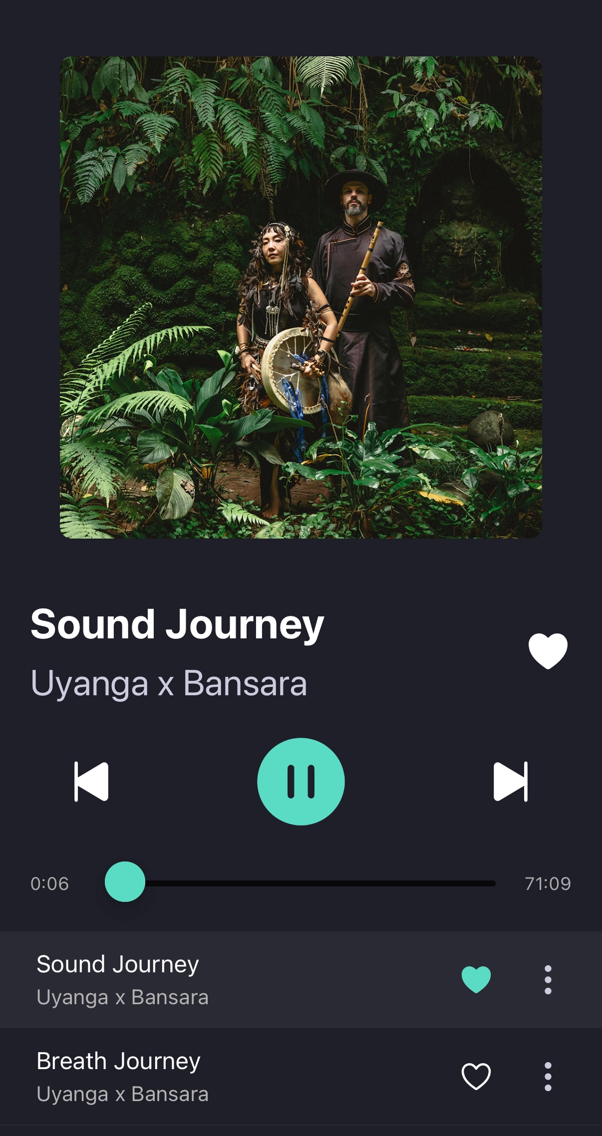 bansara app screenshot